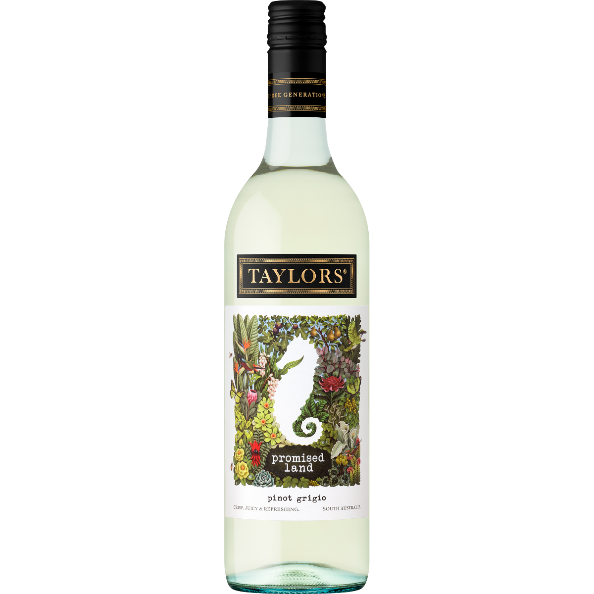 Taylors Promised Land Pinot Grigio