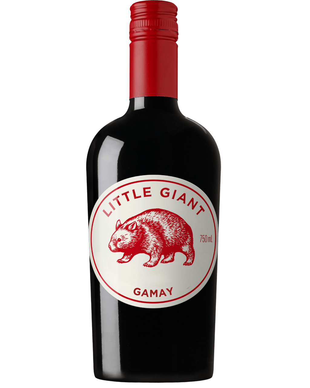 Little Giant Gamay